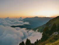 黑料网想转发前：先看对象有没有漂移，再把镜头选择写明（不费劲但管用）